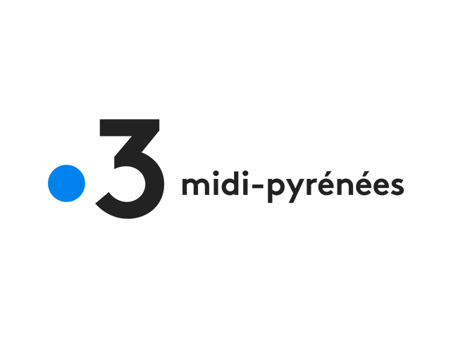 France 3 - Midi-Pyrénées - France logo channel